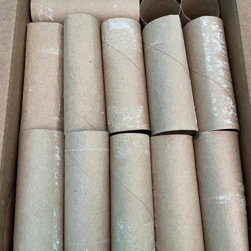 35 Cardboard Tubes Toilet Paper Rolls for arts and Crafts